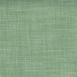 18102-449 Light Green Shark skin
