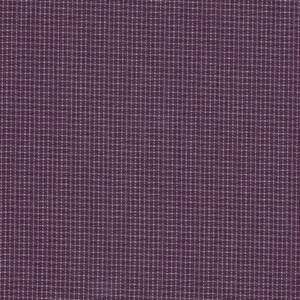 3910-011 Purple Tiny Check