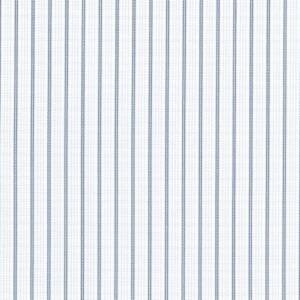 541-001 Blue Stripe