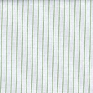 541-002  Green Stripe