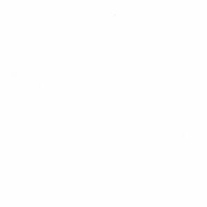 B4054-001 White Self Stripe